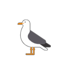 seagull vinyl sticker